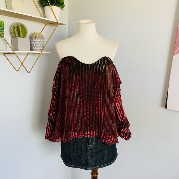 Caroline Constas • Gabrielle Velvet Bustier • Meghan King • SZ S • Retail $445 - Picture 5 of 14